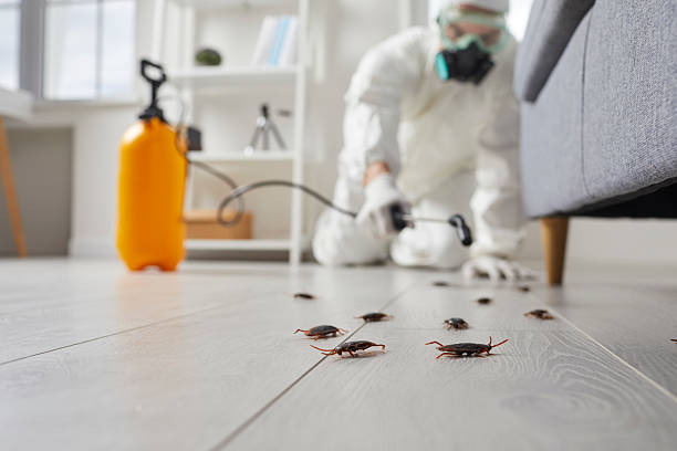 Post-Treatment Bed Bug Interceptor Monitoring in Paoli
